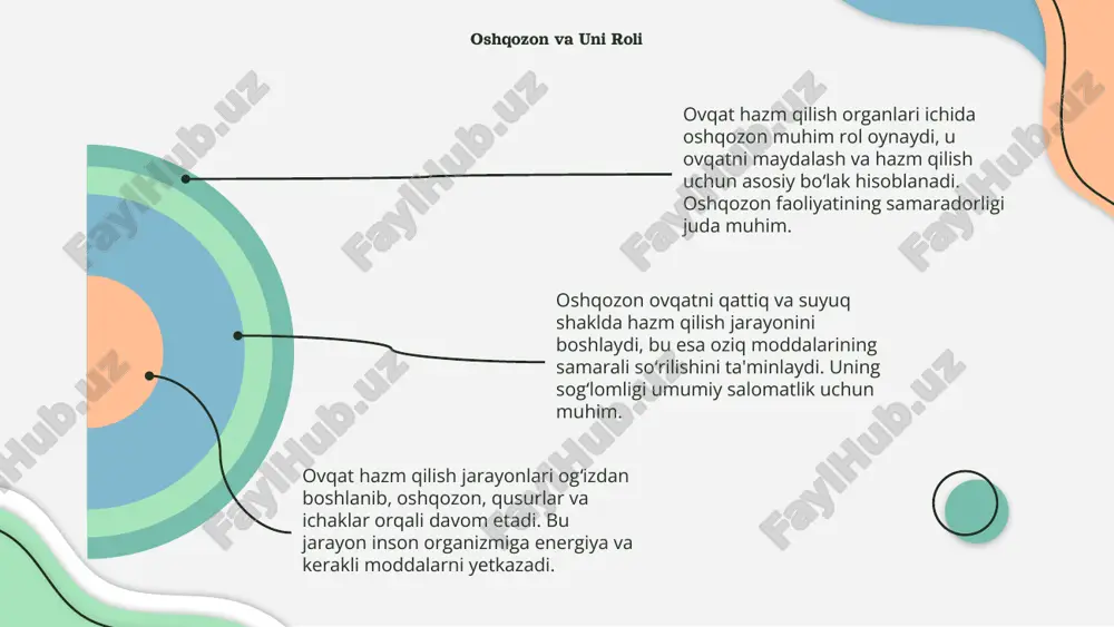 singdirish va mahsulotlarni organizmga singdirish vazifasini bajaradi. har bir organ o‘z faoliyati bilan ahamiyatlidir. sog‘lom ovqatlanish uchun meva, sabzavot va tolali mahsulotlarni iste’mol qilish tavsiya etiladi. vitaminlar va minerallar tanani mustahkamlashda muhimdir. ovqat hazm qilish jarayonlarini sog‘lom tutish uchun yaxshi chekishdan voz kechish va ko‘proq suv ichish muhim ahamiyatga ega. yaxshi odatlar hormonal muvozanatni saqlaydi. 01 03 02 xulosa ovqat hazm qilish organlari inson tanasining eng muhim tizimlaridan biri bo‘lib, organizmni hayot uchun zarur bo‘lgan oziqa moddalari bilan ta’minlaydi. og‘iz bo‘shlig‘idan boshlangan hazm jarayoni oshqozon va ichaklarda davom etib, oqsil, yog‘ va uglevodlar parchalanadi hamda qon orqali tana hujayralariga yetkaziladi. bu jarayon organizmning o‘sishi, energiya hosil bo‘lishi va sog‘lom faoliyat yuritishi uchun muhim ahamiyatga ega. ovqat hazm qilish organlari sog‘lom bo‘lishi uchun to‘g‘ri ovqatlanish, gigiyena va sog‘lom turmush tarziga rioya qilish zarur. foydalanilgan adabiyotlar: 1. abdullaev, f. biologiya asoslari. – toshkent: o‘zbekiston, 2018. 2. islomov, m. inson anatomiyasi va fiziologiyasi. …