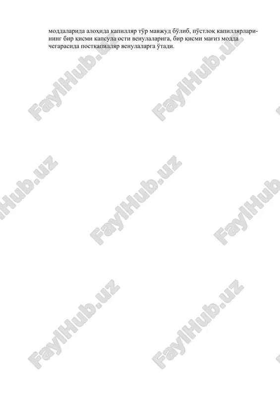 siy antigenlarni taniydigan limfotsitlar makrofaglar tomonidan yo'q qilinadi. gemato-timus to'sigi (barer) – po'stloq moddada qon kapillyarlari bo'ylab bo'ladi. quyidagi komponentlarni o'z ichiga oladi: endoteliy, uning bazal membranasi, makrofaglar va hujayralararo moddadan iborat perikapillyar bo'shlik, retikulo – epitelial hujayralar va ularning bazal membranasi. barer etuk limfotsitlarni antigen bilan to'qnashishini oldini oladi. mag'iz moddasi – kam miqdorda limfotsitlar tutadi. t- limfotsitlarning bir qismi timus va periferik qon o'rtasida tsirkulyatsiyalanadi (retsirkulyatsiyala-nuvchi pul). retikulo – epitelial hujayralari po'stloq moddadagidan farq qilib, shodasimon vakuolalar va hujayra ichi kanalchalar tutadi. mag'iz modda-sining xususiy tuzilmasi bo'lib, gassal tanachalari xisoblanadi (keratin tutuvchi, degeneratsiyaga uchragan epiteliy hujayralarning ustma-ust kontsent-rik halqalar ko'rinishida joylashishi). 3) aktsidental involyutsiya – stress holatida t- limfotsitlarning ko'plab nobud bo'lishi, epiteliy hujayralarining proliferatsiyasi, ularda glikoproteidlarning to'planishi. buyrak usti bezi glyukokortikoidlari ushbu jarayonni tezlashtiradi. yoshga ko'ra involyutsiya – 20 yoshlardan so'ng limfotsitlar sonining kamayishi, yog to'qimasining rivojlanishi kuzatiladi. 4) timusning qon bilan ta'minlanishining o'ziga xosligi – bo'lakchalar …