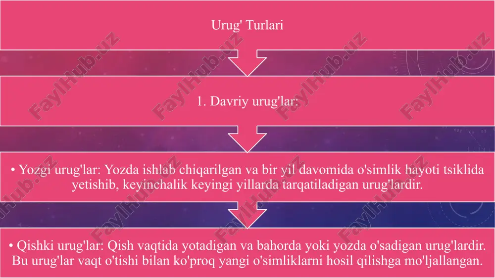 urug’ turlari va tuzilishini oʻrganish - Page 3