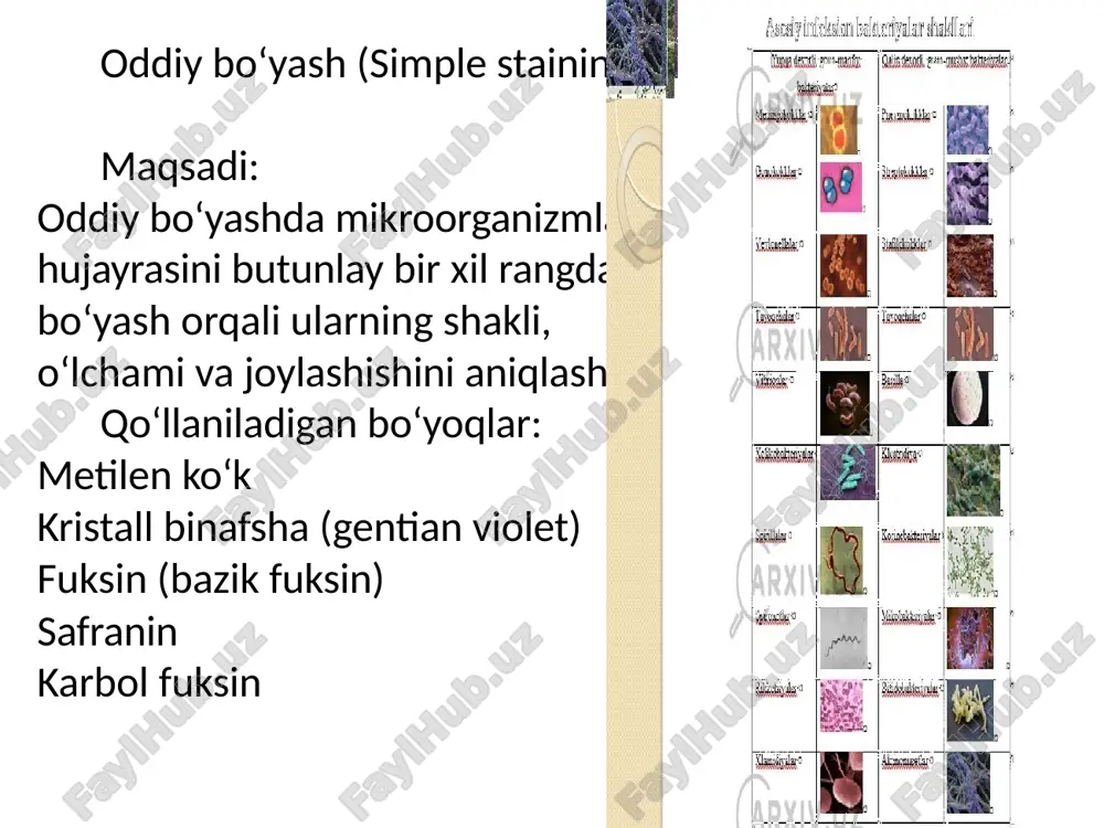 ayralar e'tiboringiz uchun rahmat image1.jpg image2.jpg image3.png image4.jpg image5.jpg image6.jpg image7.jpg image8.jpg image9.jpg image10.jpg image11.jpg image12.jpg image13.jpg image14.jpg image15.jpg image16.jpg image17.jpg image18.jpg image19.jpg image20.jpg