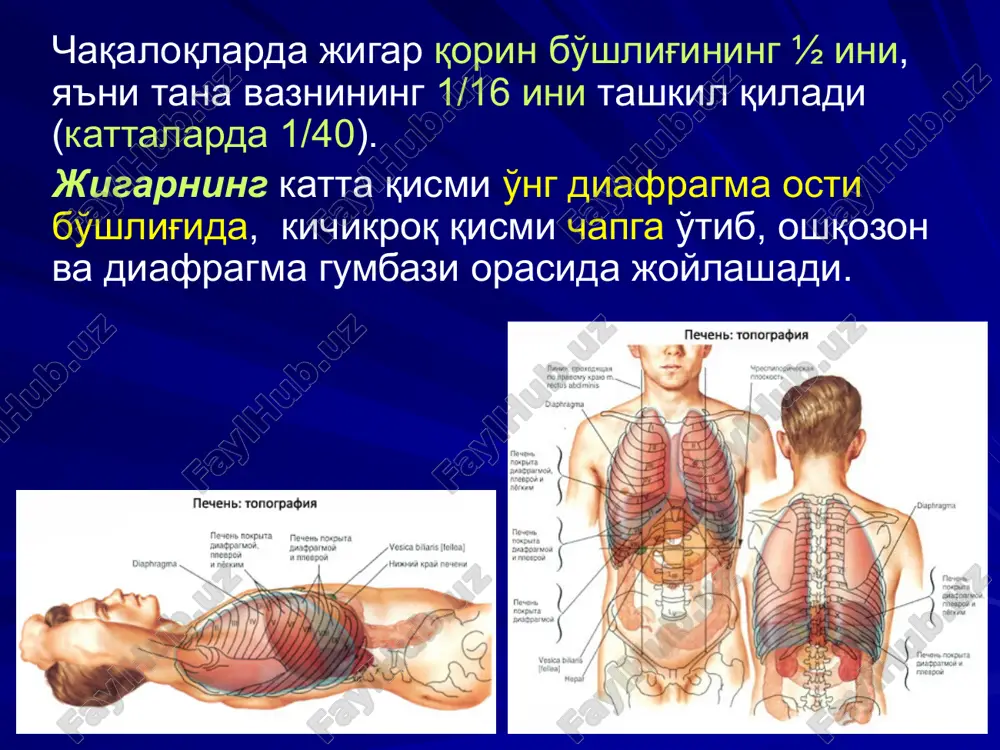 xml ppt/slides/slide5.xml ppt/slides/slide74.xml ppt/slides/slide75.xml ppt/slides/slide76.xml ppt/slides/slide2.xml ppt/slides/slide80.xml ppt/slides/slide81.xml ppt/slides/slide79.xml ppt/slides/slide78.xml ppt/slides/slide77.xml ppt/slides/slide57.xml ppt/slides/slide68.xml ppt/slides/slide66.xml ppt/slides/slide8.xml ppt/slides/slide9.xml ppt/slides/slide10.xml ppt/slides/slide11.xml ppt/slides/slide12.xml ppt/slides/slide13.xml ppt/slides/slide14.xml ppt/slides/slide7.xml ppt/slides/slide6.xml ppt/slides/slide58.xml ppt/slides/slide65.xml ppt/slides/slide64.xml ppt/slides/slide63.xml ppt/slides/slide62.xml ppt/slides/slide61.xml ppt/slides/slide60.xml ppt/slides/slide59.xml ppt/slides/slide67.xml ppt/slidelayouts/_rels/slidelayout22.xml.rels ppt/slidelayouts/_rels/slidelayout21.xml.rels ppt/slidelayouts/_rels/slidelayout19.xml.rels ppt/slidelayouts/_rels/slidelayout7.xml.rels ppt/slidelayouts/_rels/slidelayout6.xml.rels ppt/slidelayouts/_rels/slidelayout5.xml.rels ppt/slidelayouts/_rels/slidelayout4.xml.rels ppt/slidelayouts/_rels/slidelayout3.xml.rels ppt/slidelayouts/_rels/slidelayout2.xml.rels ppt/slidelayouts/_rels/slidelayout1.xml.rels ppt/slidemasters/_rels/slidemaster1.xml.rels ppt/slidemasters/slidemaster1.xml ppt/slidelayouts/_rels/slidelayout8.xml.rels ppt/slidelayouts/_rels/slidelayout9.xml.rels ppt/slidelayouts/_rels/slidelayout10.xml.rels ppt/slidelayouts/_rels/slidelayout18.xml.rels ppt/slidelayouts/_rels/slidelayout17.xml.rels ppt/slidelayouts/_rels/slidelayout16.xml.rels ppt/slidelayouts/_rels/slidelayout15.xml.rels ppt/slidelayouts/_rels/slidelayout14.xml.rels ppt/slidemasters/_rels/slidemaster2.xml.rels ppt/slidelayouts/_rels/slidelayout13.xml.rels ppt/slidelayouts/_rels/slidelayout12.xml.rels ppt/slidelayouts/_rels/slidelayout11.xml.rels ppt/slidelayouts/_rels/slidelayout20.xml.rels ppt/slidemasters/slidemaster2.xml ppt/slidelayouts/_rels/slidelayout23.xml.rels ppt/slidelayouts/slidelayout8.xml ppt/slidelayouts/slidelayout10.xml ppt/slidelayo
