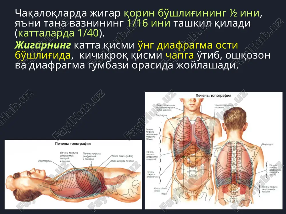 pt/slides/_rels/slide48.xml.rels ppt/slides/slide49.xml ppt/slides/_rels/slide49.xml.rels ppt/slides/slide50.xml ppt/slides/_rels/slide50.xml.rels ppt/slides/slide51.xml ppt/slides/_rels/slide51.xml.rels ppt/slides/slide52.xml ppt/slides/_rels/slide52.xml.rels ppt/slides/slide53.xml ppt/slides/_rels/slide53.xml.rels ppt/slides/slide54.xml ppt/slides/_rels/slide54.xml.rels ppt/slides/slide55.xml ppt/slides/_rels/slide55.xml.rels ppt/slides/slide56.xml ppt/slides/_rels/slide56.xml.rels ppt/slides/slide57.xml ppt/slides/_rels/slide57.xml.rels ppt/slides/slide58.xml ppt/slides/_rels/slide58.xml.rels ppt/slides/slide59.xml ppt/slides/_rels/slide59.xml.rels ppt/slides/slide60.xml ppt/slides/_rels/slide60.xml.rels ppt/slides/slide61.xml ppt/slides/_rels/slide61.xml.rels ppt/slides/slide62.xml ppt/slides/_rels/slide62.xml.rels ppt/slides/slide63.xml ppt/slides/_rels/slide63.xml.rels ppt/slides/slide64.xml ppt/slides/_rels/slide64.xml.rels ppt/slides/slide65.xml ppt/slides/_rels/slide65.xml.rels ppt/slides/slide66.xml ppt/slides/_rels/slide66.xml.rels ppt/slides/slide67.xml ppt/slides/_rels/slide67.xml.rels ppt/slides/slide68.xml ppt/slides/_rels/slide68.xml.rels ppt/slides/slide69.xml ppt/slides/_rels/slide69.xml.rels ppt/slides/slide70.xml ppt/slides/_rels/slide70.xml.rels ppt/slides/slide71.xml ppt/slides/_rels/slide71.xml.rels ppt/slides/slide72.xml ppt/slides/_rels/slide72.xml.rels ppt/slides/slide73.xml ppt/slides/_rels/slide73.xml.rels ppt/slides/slide74.xml ppt/slides/_rels/slide74.xml.rels ppt/slides/slide75.xml ppt/slides/_rels/slide75.xml.rels ppt/slides/slide76.xml ppt/slides/_rels/slide76.xml.rels ppt/slides/slide77.xml ppt/slides/_rels/slide77.xml.rels ppt/slides/slide78.xml ppt/slides/_rels/slide78.xml.rels ppt/slides/slide79.xml ppt/slides/_rels/slide79.xml.rels ppt/slides/slide80.xml ppt/slides/_rels/slide80.xml.rels ppt/slides/slide81.xml ppt/slides/_rels/slide81.xml.rels ppt/presprops1.xml ppt/viewprops1.xml ppt/tablestyles1.xml ppt/presentation.xml ppt/_r