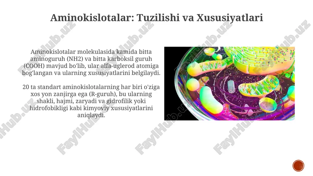 n va guanin) ikki halqali tuzilishga ega, pirimidinlar (sitozin, timin va uratsil) esa bir halqali tuzilishga ega bo'lib, farqli xususiyatlarni belgilaydi. purin va pirimidin asoslari: biosintez va degradatsiya purin biosintezi inozin monofosfat (imp) hosil qilish bilan boshlanadi, keyin esa adenin (amp) va guanin (gmp) nukleotidlariga aylanadi, ularning har biri fermentlar yordamida boshqariladi. pirimidin biosintezi karbamoil fosfat va aspartatdan orotan kislotasini hosil qilish bilan boshlanadi, so'ngra umpga aylanadi, keyin esa tsmf va tmf kabi boshqa pirimidin nukleotidlariga aylanadi. nukleotidlar metabolizmining regulyatsiyasi amp degradatsiyasi tezligi 5'-nukleotidaza faolligi bilan belgilanadi, bu ferment ampni adenozinga gidrolizlaydi, shu bilan katabolik yo'lni boshlaydi va purin darajasini tartibga soladi. nukleotidlar metabolizmi hujayralar energiya zaxirasini (masalan, atp) va signal molekulalarini (masalan, cgmp) nazorat qilish orqali energiya balansini saqlash uchun qat'iy tartibga solinadi. dnk va rnk: nukleotidlarning polimerlari dnkda deoksiriboza qoldiqlari va to'rtta asos (adenin, guanin, sitozin va timin) bo'lgan deoksiribonukleotidlar takrorlanadi. ularning polimerlanishi 3'-5' fosfodiester bog'lari orqali yuzaga …