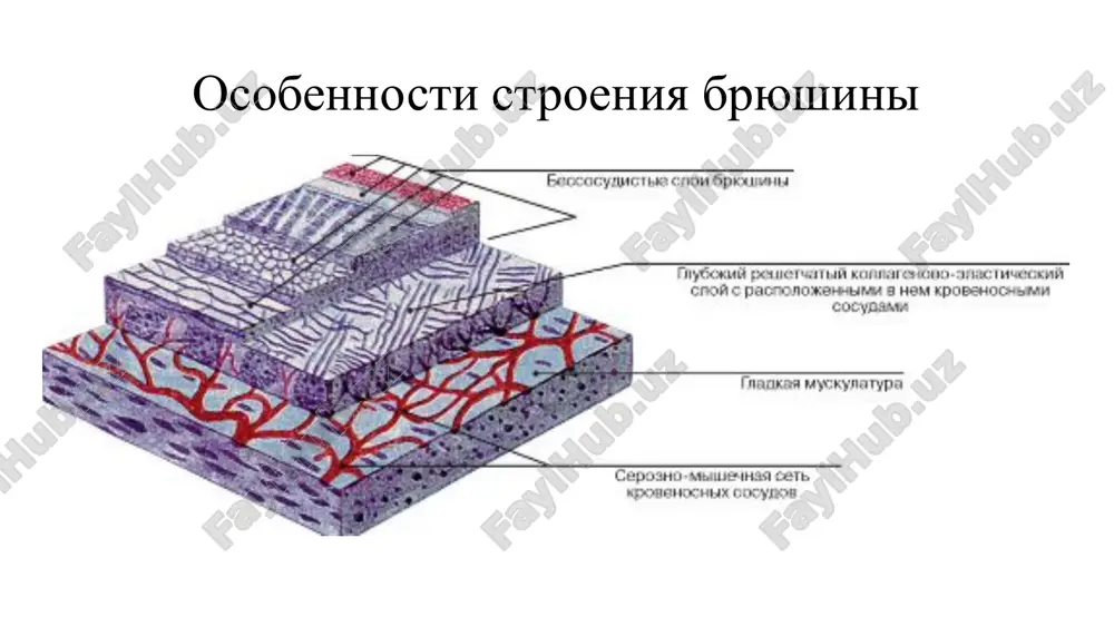ltat postoyannogo vvedeniya rastvorov. v protsesse provedeniya protseduri ispolzuyutsya dvuxprosvetniy kateter ili dva katetera s maksimalno razdelennimi portami, bolshie ob'emi zaranee prigotovlennix sbalansirovannix rastvorov, kotorie ispolzuyut v neprerivnom rejime dlya podderjaniya skorosti potoka dializata. provoditsya v usloviyax statsionara patsientam s tyajeloy ostroy pochechnoy nedostatochnostyu i pri nekotorix otravleniyax. papd (postoyanniy ambulatorniy peritonealniy dializ) pri provedenii neprerivnogo ambulatornogo peritonealnogo dializa bolshaya chast obmena provoditsya v techenie dnya. patsient, kak pravilo, proxodit chetire-pyat etapov dannoy protseduri v den. kajdiy obmen zanimaet v obshey slojnosti 20-30 minut. avtomatizirovanniy peritonealniy dializ protsess zalivki dializata i ego udalenie avtomatizirovan pri pomoshi apparata - tsiklera. obmen proizvoditsya preimushestvenno v nochnoe vremya. metod apd otlichaetsya svoey variativnostyu, chto pozvolyaet emu maksimalno sootvetstvovat obrazu jizni patsienta i meditsinskim pokazaniyam. 6 sistemi dlya avtomatizirovannogo peritonealnogo dializa (tsikleri) - spetsialnie apparati dlya provedeniya avtomatizirovannogo pd, kak v domashnix usloviyax i statsionare. printsip raboti: avtomaticheskoe vipolnenie predpisannoy programmi pd i tochniy …