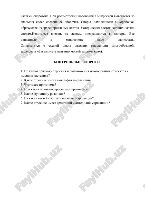 ashayutsya v elateri. vse uvidennie v mikroskope nado zarisovat. oznakomitsya s sxemoy tsikla razvitiya marshantsii mnogoobraznoy, zarisovat eyo i zapisat nazvaniya chastey talloma (ris). kontrolnie voprosi: 1. po kakom priznaku stroeniya i razmnojeniya moxoobraznie otnosyatsya k visshim rasteniyax? 2. kakoe stroenie imeet gametofit marshantsii? 3. chto takoe protonema? 4. pri kakix usloviyax prorostaet protonema? 5. kakie funktsii u rizoidov? 6. iz kakix chastey sostoit sporofit marshantsii? 7. kakoe stroenie imeet arxegoniy i anteridiy marshantsii? ris. – marshantsiya mnogoobraznaya – marchantia polymorpha 1. korzinka 1. arxegoniy 3-sporogon 4-spora i elatera 5-6- mikroskopicheskiy vid na tallom 7- anteridiy, 8- poperechniy vid antiridiy 9- poperechniy vid arxegoniy 10- buton image1.png image2.jpeg