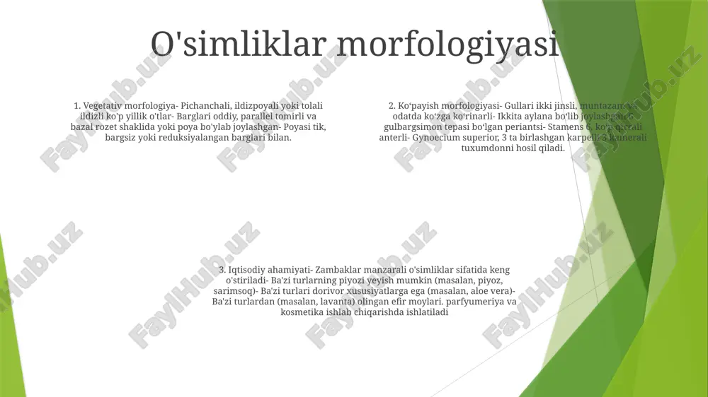 akterial va antifungal xususiyatlarni namoyish etadi. sarimsoq tarkibida mavjud bo'lgan allitsin kabi birikmalar (allium sativum) turli yuqumli agentlarga qarshi samarali ekanligini ko'rsatdi. antioksidant xususiyatlari: liliaceae oilasining ko'plab turlari flavonoidlar va fenolik kislotalar kabi antioksidant birikmalarga ega. ushbu birikmalar tanani oksidlovchi stressdan himoya qiladi va surunkali kasalliklar xavfini kamaytiradi. yallig'lanishga qarshi ta'siri: ba'zi liliaceae a'zolarida saponinlar va terpenlar kabi yallig'lanishga qarshi vositalar mavjud. ushbu birikmalar artrit va revmatizm kabi kasalliklar bilan bog'liq yallig'lanish va og'riqni engillashtirishi mumkin. dekorativ qiymat dekorativ qiymati: zambaklar oilasi sifatida tanilgan liliaceae o'zining ajoyib gullari va nafis barglari uchun juda qadrlanadigan ko'plab bezak turlariga ega. ulug‘vor zambaklargacha bo‘lgan bu o‘simliklar bog‘lar va landshaftlarga nafislik va go‘zallik bag‘ishlaydi. loladoshlar oilasi (liliaceae): liliaceae 700 dan ortiq ma'lum turlardan tashkil topgan yirik monokot oilasi bo'lib, dunyo bo'ylab keng tarqalgan. uning a'zolari o'tli ko'p yillik o'simliklardan butalar va hatto daraxtlargacha bo'lgan o'sish shakllarining keng doirasini namoyish etadilar xilma-xillik va ahamiyati: liliaceae …