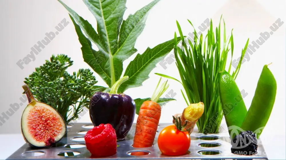 shtirish va resurslardan samaraliroq foydalanish uchun ko'plab innovatsion texnologiyalar qo'llaniladi. genetik modifikatsiyalangan organizmlar (gmo) zamonaviy qishloq xo‘jaligining ko‘plab yangiliklaridan biri bo‘lib, ishlab chiqaruvchilarga kamroq resurslar bilan ko‘proq mahsulot ishlab chiqarish imkonini beradi. gmo texnologiyasi ko'plab zamonaviy innovatsiyalarni, jumladan, oziq-ovqat chiqindilarini kamaytirishga yordam beradigan genetik jihatdan o'zgartirilgan oziq-ovqat mahsulotlari, butun dunyo bo'ylab to'yib ovqatlanmaslikni kamaytirishga yordam beradigan ozuqaviy moddalar bilan boyitilgan gmo mahsulotlari va yangi genetik muhandislik preparatlarini olib keladi. bu innovatsiyalarning barchasi kamroq mablag' bilan barqaror o'sishga qaratilgan. zararkunandalarga chidamlilik va qurg'oqchilikka chidamlilik kabi genetik xususiyatlar hosilni maksimal darajada oshirishga yordam beradi va fermerlarga kamroq tuproq, kamroq yoqilg'i va kamroq kimyoviy moddalar yordamida ko'proq hosil etishtirishga imkon beradi. geni o'zgartirilgan ekinlarning begona o'tlarga qarshi yuqori nazorati tufayli fermerlar tuproqni kamroq ishlov beradi. bu tabiiy ravishda tuproqning sog'lom bo'lishiga, uning suvni ushlab turish qobiliyatini oshirishga va qishloq xo'jaligi faoliyati natijasida issiqxona gazlari chiqindilarini kamaytirishga imkon berdi. bundan tashqari, genetik jihatdan o'zgartirilgan …