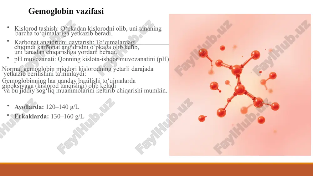 slorod tashish qobiliyatini yo‘qotadi. metgemoglobinemiya gemoglobin tarkibidagi temir fe²⁺ shaklidan fe³⁺ shakliga o‘tishi natijasida kelib chiqadi. fe³⁺ kislorod bilan bog‘lana olmaydi. sabablar: ba'zi dori vositalari (anilin, sulfonamidlar), nitrat/nitritlar bilan zaharlanish. klinik belgilar: ko‘karish (sianoz), bosh aylanishi, gipoksiya belgilari. karboksihb (co zaharlanishi) gemoglobinning karbonat oksidi (co) bilan bog‘lanishi. co kisloroddan 200-250 marta kuchliroq gemoglobin bilan bog‘lanadi. sabablar: tamaki chekish, uglerod oksidi (duxobka gazi) zaharlanishi. natija: to‘qimalarda og‘ir ishemiya va kislorod yetishmovchiligi, chunki gemoglobin kislorod tashiy olmaydi. sulfgemoglobin ba'zi kimyoviy moddalar, ayniqsa sulfanilamidlar, ta'sirida gemoglobinning oltingugurt bilan bog‘lanishi. natija: sulfgemoglobin kislorodni umuman bog‘lay olmaydi va qaytarib bo‘lmaydigan o‘zgarishlarga uchraydi. bu holat sianozga olib keladi. 8 asosiy patofiziologik sindromlar gemoglobin patologiyalari bir qancha o‘ziga xos klinik sindromlar bilan namoyon bo‘ladi, ularni tushunish tashxis qo‘yishda muhimdir. 1. anemik sindrom gemoglobin miqdorining kamayishi bilan bog‘liq. umumiy holsizlik, charchoq, rangparlik, bosh aylanishi, hansirash, taxikardiya kabi belgilar bilan namoyon bo‘ladi. 2. gemolitik sindrom eritrotsitlarning muddatidan oldin parchalanishi …