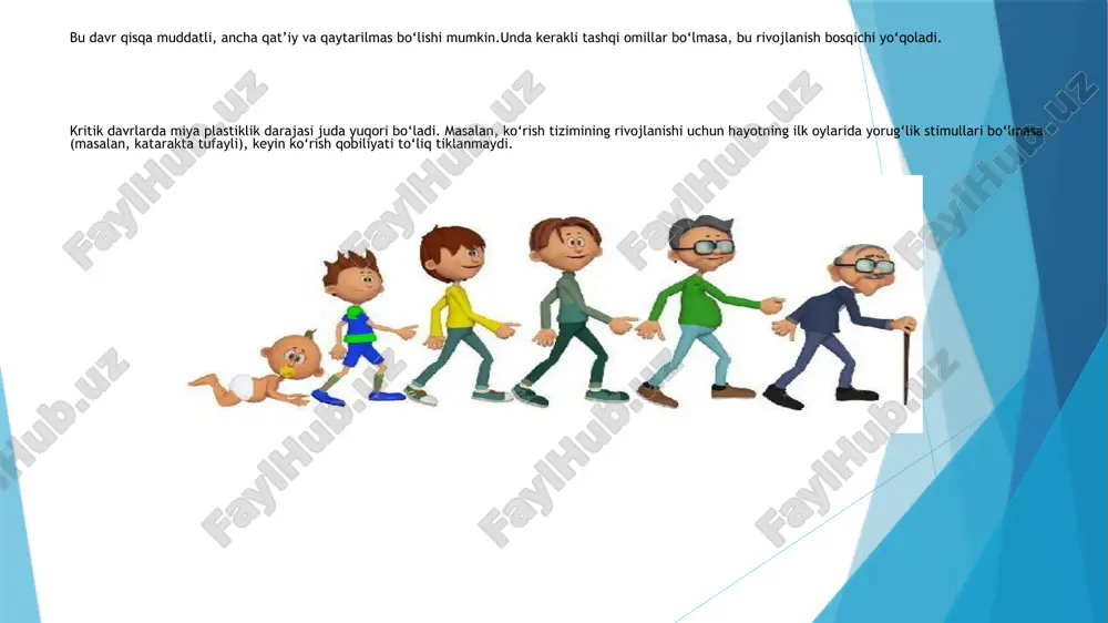 kritik va sensitiv davrlar - Page 3