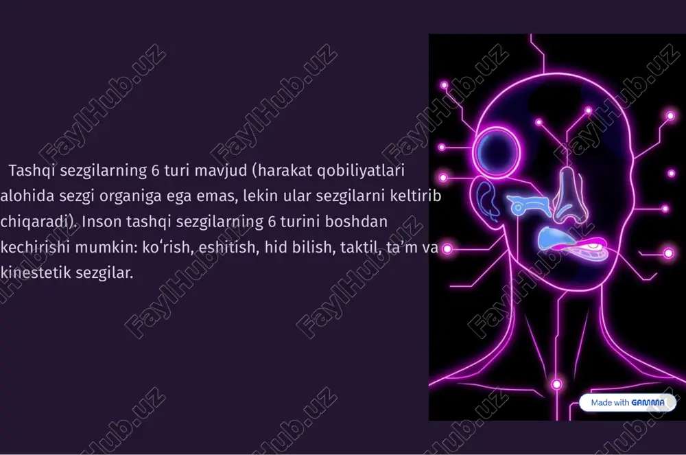 moya qiladi. termoregulyatsiya quyosh nurlarita'sirida dvitamini ishlab chiqaradi. og'riq, bosim, harorat va teginishnihis etadi. tana haroratini terlashva qon oqimi orqali tartibga soladi. analizatorning tarkibiy qismlari analizator — neyronlar tizimi, ularning vazifasi signalni idrok etish, bu haqda maʼlumotni miyaga yetkazish va tirnash xususiyati tahlil qilishdir. bu termin birinchi marta i. p. pavlov tomonidan kiritilgan. hozirgi vaqtda „sensor tizimi“ tushunchasi ham qoʻllanilmoqda. xulosa: sezgi organlarining o'zaro bog'liqligi va ahamiyati sezgi organlari bir-biri bilan chambarchas bog'liqholdaishlaydi, bu bizga atrof-muhitni to'liq va boy tarzdaidrok etish imkoniniberadi. har bir organ o'ziga xos ma'lumotni to'playdi, miya esa bu ma'lumotlarni birlashtirib, dunyoning yagona va to'liq manzarasini yaratadi. ularning har biri bizning omon qolishimiz va hayotdan zavqlanishimiz uchun muhim ahamiyatga ega. sezgi organlarining murakkabligi va ularning miya bilan o'zaro aloqasi hali ham ko'plab tadqiqotlar ob'ekti bo'lib qolmoqda. qo'llangan adabiyotlarim . arsixovskiy a. v., arxeologiya asoslari, t., 1970; kabi rov j., sagdullayev a., oʻrta osiyo arxeologiyasi. t., 1990; ahmedov …