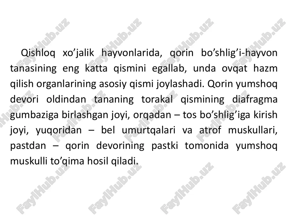 monda 7- 12 qovurg’a yo’nalishida ko’krak qafasi yonida, tur qorin va shirdon oralig’ida joylashadi. sig’imi 7-12 litr. shirdon – obamasum – qorin bo’shlig’i tubining o’rta qismida joylashadi. old tomonida tur qorin, yuqoridan kata qorinning ventral xaltasi va qatqorin, pastki tomondan qorinning yumshoq devori va qovurg’a tog’aylari bilan chegaralanadi. sig’imi 20 litrgacha. chuqur bo’g’ozlik davrida oldinga qarab siljiydi va ko’ndalang holatni egallaydi. qon bilan ta’minlanishi. jigar, taloq, oshqozon, kavsh qaytaruvchilarda kata qorin, turqorin, qat qorin, shirdon va ichaklar yonbosh chov (cherevnoy) arteriya qon tomir tarmoqlari bilan ta’minlanadi. innervasiya. oshqozon oldi bo’lmalari va shirdonga adashgan va simpatik nervlar tarmog’ini beradi. har ikkala adashgan nerv 2 tadan dorsal va ventral stvollarni hosil qilib oshqozon osti va oshqozon ustki nerv chigalini hosil qiladi. qorin oblasti nervlarini o’tkazuvchanlik usulida og’riqsizlantirish.bel (buyrak atrofii – paranefral) novokain qamali.tixonin usuli bo’yicha otlarda qamal o’tkazish. ko’rsatma. o’tkir aseptik va yiringli yallig’lanish jarayonlarida, axtadan keyingi asoratlarda, tez bitmas yaralar, oqmalar, …