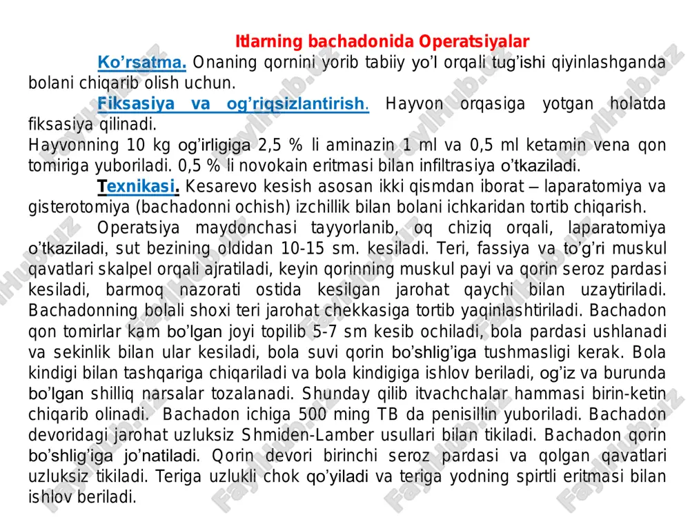 i. keyin bachadon shoxi ichkariga yuboriladi va 250-500 tb penisillin yuboriladi. qorin seroz pardasiga 1-2 tugunli chok o’tkaziladi. ajratilgan muskul tolalari tikiladi va teri jarohatiga 3-4 tugunli chok o’tkazib tikiladi. yod eritmasi bilan jarohat chetlari ishlov beriladi. terida kesim o'tkazish jarayoni laporatomiya texnikasi qorin bo'shlig'idan bachadon va tuxumdonni chiqarish jarayoni tuxumdonni olib tashlash jarayoni qorin devori muskullari va qursoq pardaga uzluksiz chok qo'yish operatsiya oxirida terini choklash ajratib olingan tuxumdonlar chot oblastidagi operatsiyalar. anatomo–topografik ma'lumot – chot oblasti orqa teshigidan to urug'don xaltasigacha bo'lgan qismini egallaydi. ikki qismdan iborat: orqa teshik va siydik jinsiy, oxirgisida jinsiy a'zo va uretra joylashadi. qon bilan ta'minlanishi – chot va yopuvchi aretiyalar yordamida. innervatsiyasi – jinsiy a'zo nevri tomonidan. ko'rsatma – uretrotomiya va uretrostomiya operatsiyalari vaqtida. texnikasi – to'g'ri ichak chuqurligida quymich suyagini yoysimon kesim ustida igna yuboriladi orqa teshikdan bir barmoq o'ng tarafdan va 5 ml 3 % novokain eritmasi yuboriladi, 0,5 sm …