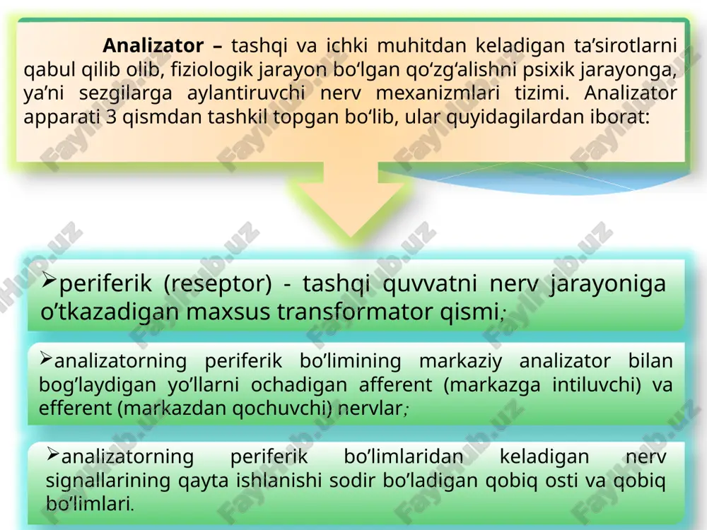 o, deb atash mumkin. psixofizik muammolar - xvii asrda r.dekart jonli organizmlarning xulq-atvorini mexanik o`zaro ta`sir sifatida qarash kerakligi haqidagi g`oyani ilgari so`rgandan so`ng, ayniqsa, dolzarb bo`lib qoldi. bu g`oyaga ko`ra ongning tushuntirish qiyin bo`lgan aktlari jismsiz fazoviy bo`lmagan substantsiyaga kiritilgan. bu substantsiyaning “tana mashinasi” ishiga munosabati r.dekartni psixofizik o`zaro ta`sir kontseptsiyasini ilgari surishga undadi, ya`ni tana faqat harakat qiladi, jon faqat fikrlaydi, ular miyaning muayyan qismida bir-biriga ta`sir etadi. t.gobbs va b.spinoza bu g`oyaga qarshi chiqib, o`z qarashlarini ilgari surishgan. gobbs, sezgini moddiy jarayonlarning yordamchi predmeti, deb qarasa, spinoza g`oyalar tartibi, xuddi buyumlar tartibiga o`xshaydi, deb ko`rsatadi. g.v.leybnits, mexanistik qarash bilan psixikani noyob mohiyat, deb qarashni bir-biriga aralashtirgan holda psixofizik parallelizm g`oyasini ilgari surdi. uning fikricha tana va jon o`z operatsiyalarini bir-biriga bog`liq bo`lmagan holda bajaradi, lekin ular o`rtasida nihoyatda nozik kelishuvchanlik mavjud. ular bir-biriga bog`liq bo`lmay yurayotgan, lekin bir vaqtni ko`rsatayotgan ikkita soat strelkasiga o`xshaydi. xix asrning oxiri …
