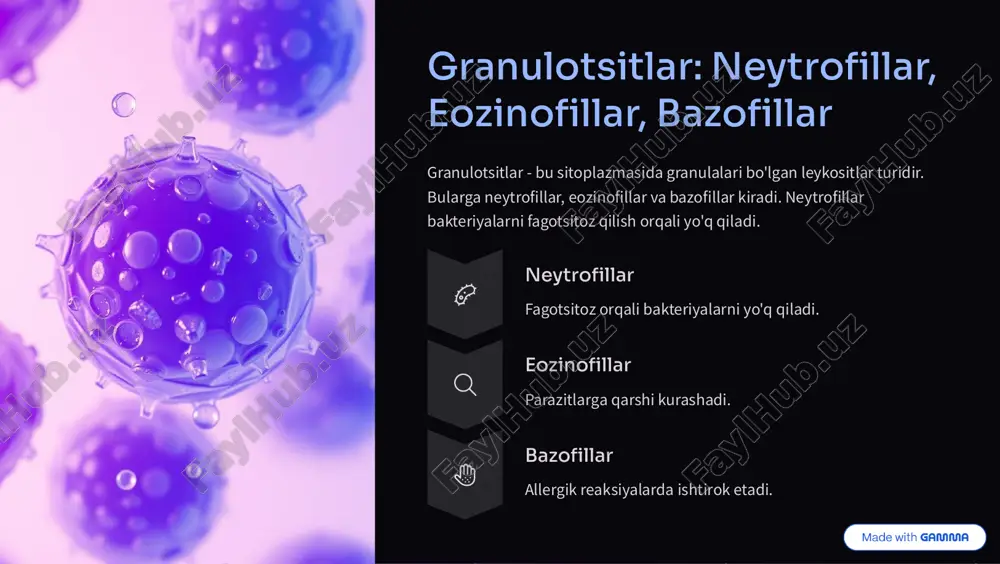 itet tizimining muhim qismidir. ularning turli xil turlari organizmni infeksiyalardan himoya qilishda muhim rol o'ynaydi. leykositlarning miqdori va funktsiyasining o'zgarishi turli xil kasalliklarni ko'rsatishi mumkin. leykositlar immunitetning asosidir. har bir turi o'z vazifasiga ega. o'zgarishlar kasallik belgisi bo'lishi mumkin. https://gamma.app/?utm_source=made-with-gamma