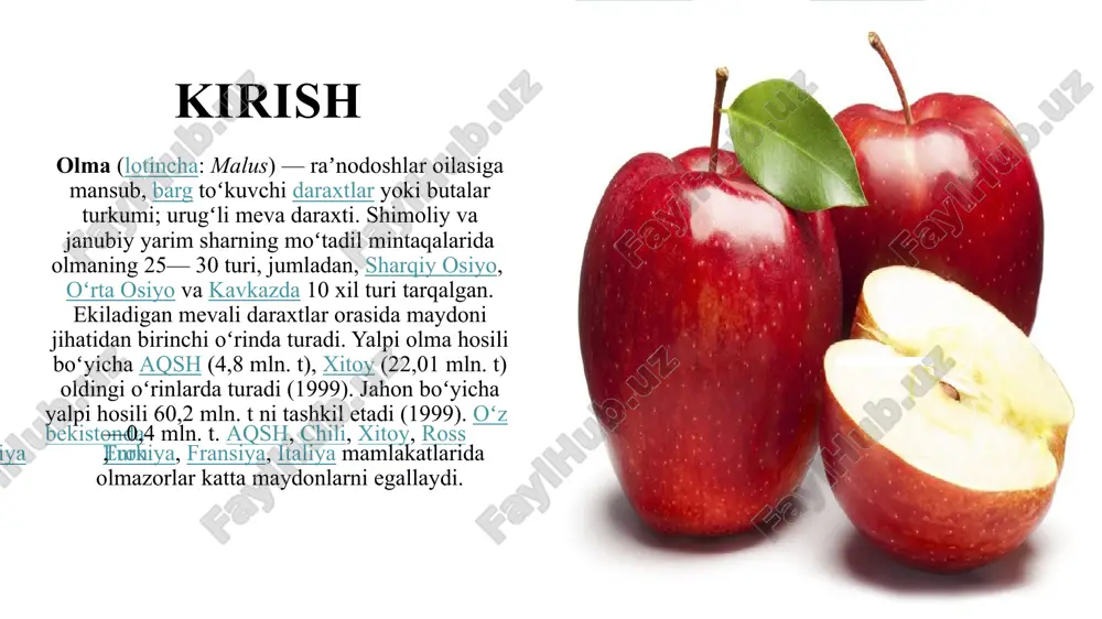 olmamevasining xususiyatlari - Page 3