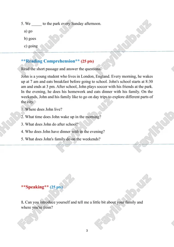 a1 - placement test - Page 3