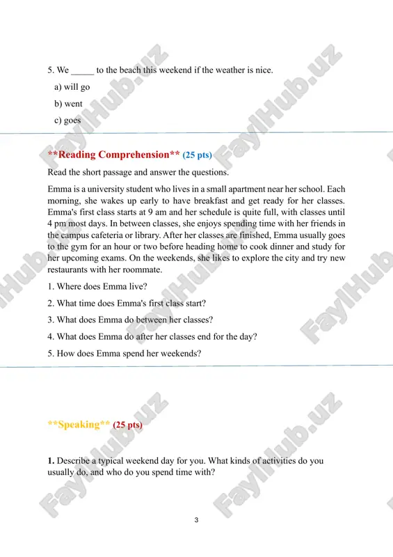 a2 - placement test - Page 3