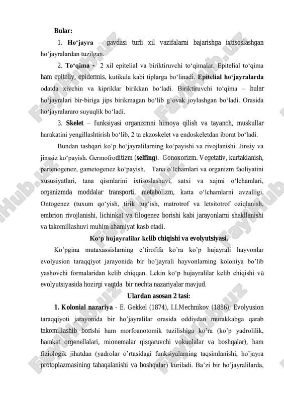 g tabaqalanishi va boshqalar) kuriladi. ba’zi bir ho’jayralilarda, masalan: volvox va myxosporidialarda, hatto ko’p ho’jayralilik ko’rinishlari kuzatiladi. (vol’vokslar koloniyasida somatik va jinssiy ho’jayralar mavjud). i. mechnikov nazariyasi (1886) ga ko’ra entoderma, eng tuban metazoa da blastulaning blastosil bo’shlig’iga otilib chiqqan ho’jayralardan paydo bo’lgan, ya’ni ikki qavatlilik stadiyasi eng avvalo invaginasiya emas, balki immigrasiya (qaynab chiqish) yo’li bilan. mechnikov o’z nazariyasini «fagosetella» deb atadi (blastoselga chiqqan ho’jayralarni mechinkov fagositoblastlar deb atagan). ho’jayra ichida ovqatning hazm bo’lishi fagositoz deyiladi. metazoaning eng dastlabki avlodlarida ikki qavatning paydo bo’lishi bilan ulardagi ho’jayralar evolyusiya davomida har xil yo’nalishlar bo’yicha mutaxasislashib borgan. masalan: tashqi tomondagi ho’jayralar harakat qilish, sezish, ta’sirlanish vazifalarini, ichki tomondagi ho’jayralar esa ovqatni hazm qilish va jinsiy vazifalarni bajarishga differensiyallashgan. 2. sintsitial nazariya - i. xodji (1943) va boshka olimlar nazariyalari; ko‘p ho‘jayralilar ko‘p yadroli lekin bir plazmodiyli, kiprikli sodda hayvonlarga (tufelka) o‘xshash bir ho‘jayralilardan kelib chiqqan ya’ni qutblanishni kelib chiqishi va xo‘jayralar …