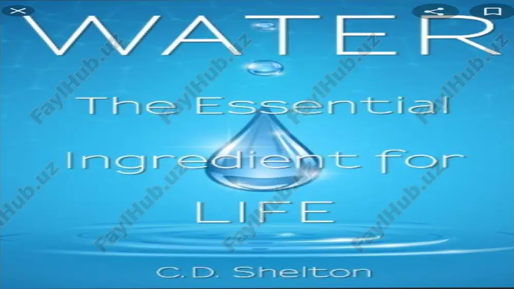 water - Page 3