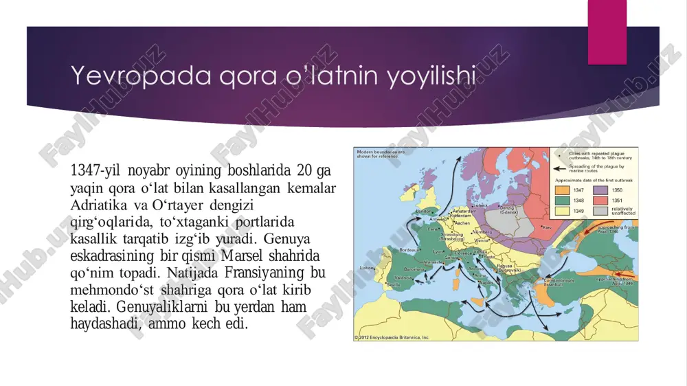 yevropa mamlakatlarida o’rta asr tibbiyoti haqida - Page 3