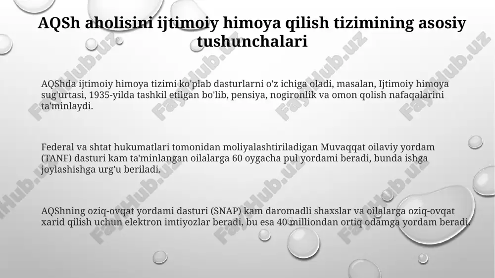 aqsh aholisini ijtimoiy himoya qilish tizimi - Page 3