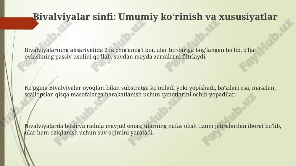 bivalviyalar va cephalopodlarning ekologik ahamiyati - Page 3