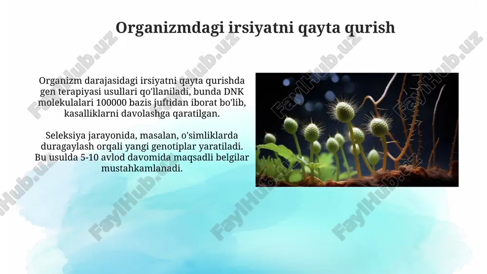 yoki o'zgartirish orqali amalga oshiriladi, samaradorlik 10-30% gacha. farmakogenomika individual genetik xususiyatlarga moslashtirilgan dori vositalarini tanlash imkonini beradi, masalan, cyp2d6 genotipiga qarab dozani sozlash orqali nojo'ya ta'sirlarni kamaytirish. organizmning rivojlanishida irsiyatning o'rni organizmning rivojlanishida irsiyat 23 ta xromosoma juftini, jumladan, avtosomalar va jinsiy xromosomalarni o'z ichiga olgan dnk orqali nasldan naslga o'tadigan genetik ma'lumotlarni ta'minlaydi. genetik ko'rsatmalar hujayralar differentsiatsiyasi va organogenezning bosqichma-bosqich jarayonini boshqaradi, embrion rivojlanishining dastlabki 8 haftasida organizm shakllanishida hal qiluvchi ahamiyatga ega. ekologiya va irsiyatning o'zaro ta'siri ekologik omillar irsiyat ifodasiga ta'sir ko'rsatishi mumkin, masalan, oziqlanish genlarning faolligini 30-40% gacha o'zgartirib, fenotipik o'zgarishlarga olib keladi. radiatsiya, kimyoviy moddalar kabi ekologik stresslar dnkda mutatsiyalarni keltirib chiqaradi, irsiy o'zgaruvchanlikni oshirib, adaptatsiya jarayonlariga 10-20% ta'sir qilishi mumkin. populyatsiya genetikasi va evolyutsiya populyatsiya genetikasi allellarning chastotalari va genotiplarning tarqalishini o'rganadi, evolyutsiya esa bu chastotalarning vaqt davomida o'zgarishini tushuntiradi. genetik drift, 50 organizmdan kam bo'lgan kichik populyatsiyalarda allel chastotalarida tasodifiy o'zgarishlarga olib …