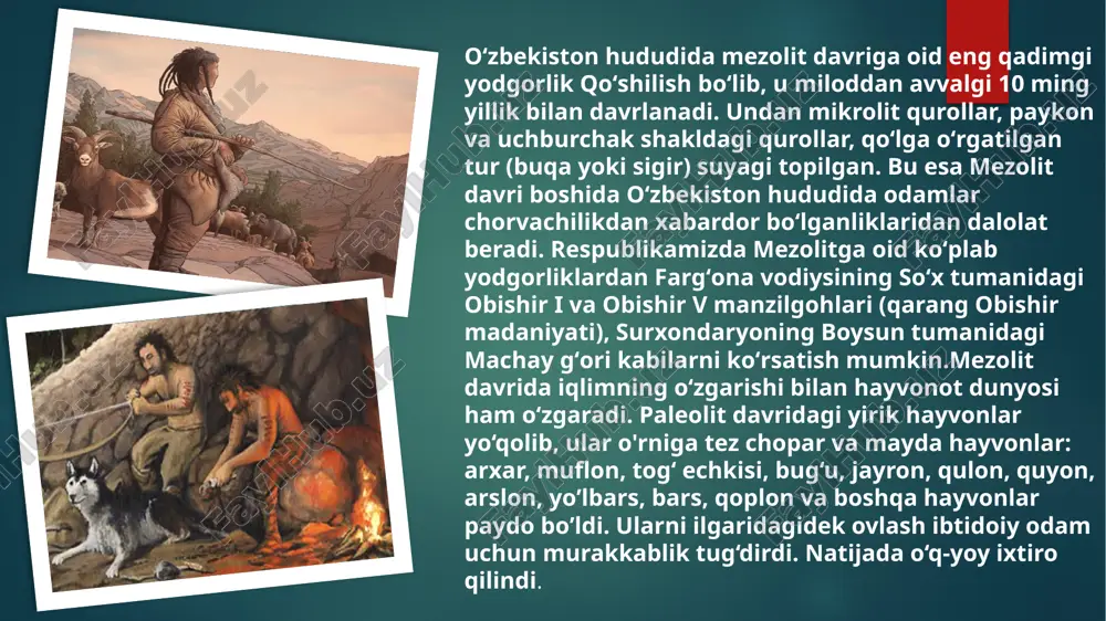 . ular kichikroq, aniqroq va puxta yasalgan asboblar yasashga o‘tishdi. uy-joylar ko‘proq vaqtinchalik boshpanalardan iborat bo‘lib, ularning qurilish materiali asosan yog‘och, tosh va terilar edi. odamlar o‘z yashash joylarini tabiiy resurslardan foydalanib qurib, ko‘chmanchilikni davom ettirdilar, lekin ba’zi hududlarda qisman mahalliylashtirish jarayoni boshlandi. madaniy hayotda ham o‘zgarishlar yuz berdi. qo‘l san’ati rivojlandi, terilarni bezash, hayvon shaklidagi figuralar yasash keng tarqaldi. bu esa odamlarning estetik didi va ma’naviy ehtiyojlari oshganidan dalolat beradi. mezolit davri odamlarining diniy va ma’naviy hayotining boshlang‘ich ko‘rinishlari ham aynan shu davrga to‘g‘ri keladi. jamiyat tuzilmasi ancha soddaligi bilan birga, guruhlar o‘rtasida kooperatsiya va ijtimoiy aloqalar rivojlana boshladi. oila va kichik jamoalar shakllanib, odamlarning o‘zaro aloqalari mustahkamlandi. ko‘chmanchi hayot tarzidan asta-sekin qisman mahalliylashtirilgan hayotga o‘tish boshlangani bu davrning o‘ziga xos jihatlaridan biridir. mezolit davri odamlarining ixtirolari va turmush tarzidagi o‘zgarishlar keyingi neolit davrining rivojlanishiga tayyorgarlik bo‘lib xizmat qildi. xususan, ovchilik va baliq ovlashdagi yangi texnikalar, boshpana qurishdagi takomillashtirishlar, …