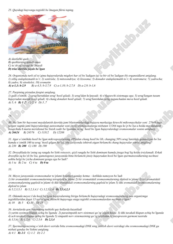 ng. 1) 24 molekula co2 sarflanadi; 2) 24 molekula co2 hosil bo'ladi; 3) 2880 kj atf energiyasi sarflanadi; 4) 24 molekula o2 sarflanadi; 5) 152 ta atf sintezlanadi; 6) 24 molekula o2 hosil bo'ladi; 7) 6080 kj atf energiyasi sarflanadi a) a - 1, 4, 5; b - 2,6,7 v) a - 1,3,6; b - 2,4,5 c) a - 1, 5, 6; b - 2,4 ,7 d) a - 2,4,5; b -1, 3,6 16. o'simliklarni ularga xos jinsiy organlari bilan juftlang. a) ♂ jinsiy organi anteridiy; b) ♀ jinsiy organi arxegoniy; c) ♀ jinsiy organi murtak xalta; d) ♂ jinsiy organi chang donasi; 1) kedr; 2) sekvoyadendron; 3) zuhrasoch; 4) funariya; 5) kakra; 6)sag`an ; 7) saur; 8) silen a) 2, 7 - b, d; 1, 3, 6 - a, b; 5, 8 - c; d b) 3, 4, 6 - a, b; 2, 7 - a, s; 1, 5, …