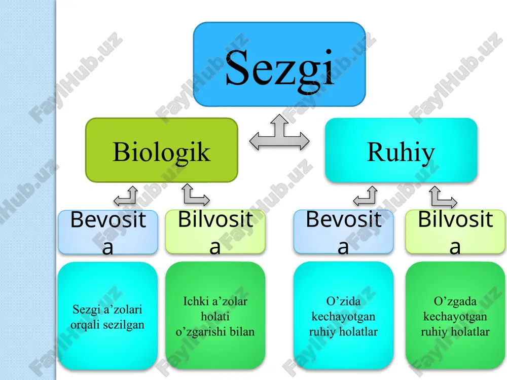sezgi haqida tushuncha - Page 3
