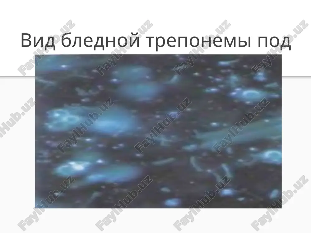 s/_rels/notesslide51.xml.rels ppt/notesslides/notesslide52.xml ppt/notesslides/_rels/notesslide52.xml.rels ppt/notesslides/notesslide53.xml ppt/notesslides/_rels/notesslide53.xml.rels ppt/notesslides/notesslide54.xml ppt/notesslides/_rels/notesslide54.xml.rels ppt/notesslides/notesslide55.xml ppt/notesslides/_rels/notesslide55.xml.rels ppt/notesslides/notesslide56.xml ppt/notesslides/_rels/notesslide56.xml.rels ppt/notesslides/notesslide57.xml ppt/notesslides/_rels/notesslide57.xml.rels ppt/notesslides/notesslide58.xml ppt/notesslides/_rels/notesslide58.xml.rels ppt/notesslides/notesslide59.xml ppt/notesslides/_rels/notesslide59.xml.rels ppt/notesslides/notesslide60.xml ppt/notesslides/_rels/notesslide60.xml.rels ppt/notesslides/notesslide61.xml ppt/notesslides/_rels/notesslide61.xml.rels ppt/notesslides/notesslide62.xml ppt/notesslides/_rels/notesslide62.xml.rels ppt/notesslides/notesslide63.xml ppt/notesslides/_rels/notesslide63.xml.rels ppt/notesslides/notesslide64.xml ppt/notesslides/_rels/notesslide64.xml.rels ppt/notesslides/notesslide65.xml ppt/notesslides/_rels/notesslide65.xml.rels ppt/notesslides/notesslide66.xml ppt/notesslides/_rels/notesslide66.xml.rels ppt/notesslides/notesslide67.xml ppt/notesslides/_rels/notesslide67.xml.rels ppt/notesslides/notesslide68.xml ppt/notesslides/_rels/notesslide68.xml.rels ppt/notesslides/notesslide69.xml ppt/notesslides/_rels/notesslide69.xml.rels ppt/notesslides/notesslide70.xml ppt/notesslides/_rels/notesslide70.xml.rels ppt/notesslides/notesslide71.xml ppt/notesslides/_rels/notesslide71.xml.rels ppt/notesslides/notesslide72.xml ppt/notesslides/_rels/notesslide72.xml.rels ppt/notesslides/notesslide73.xml ppt/notesslides/_rels/notesslide73.xml.rels ppt/notesslides/notesslide74.xml ppt/notesslides/_rels/notesslide74.xml.rels ppt/notesslides/notesslide75.xml ppt/notesslides/_rels/notesslide75.xml.rels ppt/notesslides/notesslide76.xml ppt/notesslides/_rels/notesslide76.xml.rels ppt/notesslides/notesslide77.xml ppt/notessli