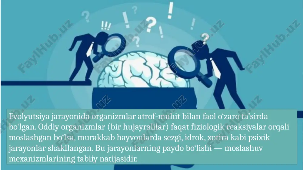 erv tizimi; insonda — miyaning po‘stlog‘i yuqori darajada rivojlangan. organizmning psixik faoliyati atrof-muhit bilan o‘zaro ta’sirda shakllanadi. muhit o‘zgarishi, iqlim, ijtimoiy hayot, madaniyat psixik taraqqiyotning tashqi omillaridir. shuning uchun inson psixikasini jamiyatdan ajratib o‘rganish mumkin emas. 20 xulosa psixikaning evolyutsiyasi — bu biologik, ijtimoiy va madaniy omillar birligida kechgan murakkab jarayondir. u organizmlarning moslashish, o‘rganish va ongli faoliyatga o‘tish qobiliyatlarini shakllantirdi. inson psixikasi esa, ong va o‘z-o‘zini anglash orqali eng yuqori rivojlanish bosqichiga erishdi. 21 image3.png image4.svg image13.jpg image14.jpeg image5.png image6.svg image7.png image8.svg image15.jpeg image11.png image12.svg image16.jpeg image17.jpeg image18.jpeg image19.jpeg image20.jpeg image21.jpeg image22.jpeg image23.png image24.jpg /docprops/thumbnail.jpeg