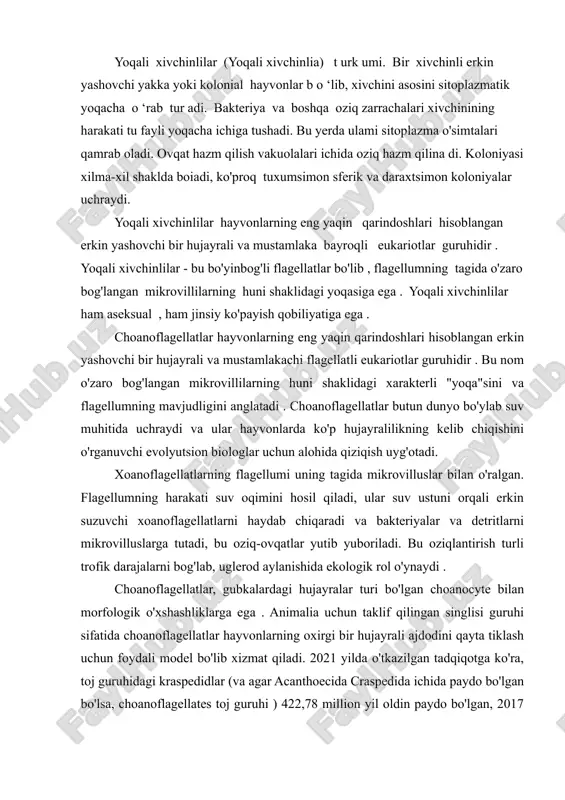 anoflagellatlarning flagellumi uning tagida mikrovilluslar bilan o'ralgan. flagellumning harakati suv oqimini hosil qiladi, ular suv ustuni orqali erkin suzuvchi xoanoflagellatlarni haydab chiqaradi va bakteriyalar va detritlarni mikrovilluslarga tutadi, bu oziq-ovqatlar yutib yuboriladi. bu oziqlantirish turli trofik darajalarni bog'lab, uglerod aylanishida ekologik rol o'ynaydi . choanoflagellatlar, gubkalardagi hujayralar turi bo'lgan choanocyte bilan morfologik o'xshashliklarga ega . animalia uchun taklif qilingan singlisi guruhi sifatida choanoflagellatlar hayvonlarning oxirgi bir hujayrali ajdodini qayta tiklash uchun foydali model bo'lib xizmat qiladi. 2021 yilda o'tkazilgan tadqiqotga ko'ra, toj guruhidagi kraspedidlar (va agar acanthoecida craspedida ichida paydo bo'lgan bo'lsa, choanoflagellates toj guruhi ) 422,78 million yil oldin paydo bo'lgan, 2017 yilda o'tkazilgan oldingi tadqiqot chospedillates (chospefladillatlar) da divergensiyani tiklagan bo'lsa-da. 786,62 million yil. tashqi ko'rinish batafsil morfologiya har bir xoanoflagellat bitta flagellumga ega bo'lib, u mikrovilli deb ataladigan aktin bilan to'ldirilgan o'simtalar halqasi bilan o'ralgan bo'lib , silindrsimon yoki konussimon "yoqa" ( yunoncha choanos ) hosil qiladi. …