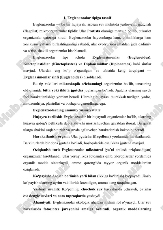 ) kasallik qo‘zg‘atuvchi parazitlar bo‘lishi mumkin. evglenazoolar tipi — murakkab tuzilgan, o‘ziga xos hayot tarzi bilan ajralib turuvchi, fotosintez qiluvchi va harakatlanuvchi jgutchali organizmlar majmuasidir. ular biologik evolyutsiya jarayonida o‘simlik va hayvonlar orasidagi o‘tish shakli sifatida alohida ahamiyatga ega bo‘lib, tabiatdagi moddalar aylanishida muhim ekologik rol bajaradi. 2. evglenasimonlar sinfi (euglenoidea) – umumiy tavsifi evglenasimonlar sinfi — bu evglenazoolar tipiga mansub, bir hujayrali, suv muhitida yashovchi mikroorganizmlar guruhi bo‘lib, ular eukariot hujayraga ega va jgutchali (flagellat) hayot tarziga ega. ushbu sinf vakillari o‘ziga xos xususiyatlari bilan o‘simlik va hayvonlar orasidagi o‘tish shakli sifatida tasniflanadi. tuzilishi va morfologiyasi evglenasimonlarning tanasi uzunchoq yoki oval shaklga ega bo‘lib, u moslashuvchan pellikula bilan qoplangan. pellikula — bu hujayra qobig‘ining elastik qavati bo‘lib, unga egiluvchanlik va shaklni saqlash imkonini beradi. tananing old qismida odatda bitta asosiy jgutcha joylashgan bo‘lib, ba’zi turlarda qo‘shimcha jgutcha ham mavjud. jgutcha suvda harakatlanish, oziq modda topish va yorug‘lik manbai tomon …