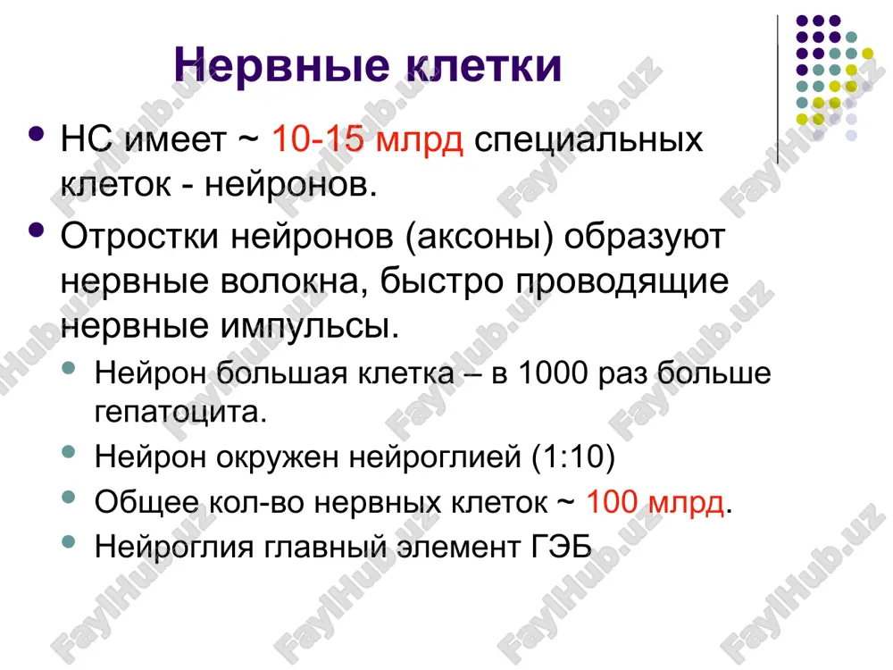 usilenie katexolaminergicheskoy prejde vsego dofaminergicheskoy + glyutamatergicheskoy i gamk-ergicheskoy, peptidergicheskoy sistem gm argumenti v polzu dofaminergicheskoy gipotezi proisxojdeniya shizofrenii neyroleptiki (antipsixotiki) chasto vizivayut parkinsonizm, chto vozmojno svyazano so snijeniem urovnya dofamina deystvie neyroleptikov snijaet aktivnost dofamina v mezolimbicheskix dofaminovix neyronax drugie lek-va dofamin-mimeticheskogo deystviya (l-dofa, amfetamin) vizivayut simptomi shizofrenii. dlitelnoe lechenie neyroleptikami vedet k snijeniyu urovnya gomovanilinovoy kisloti v likvore i uluchsheniyu sostoyaniya bolnix virajennost antipsixoticheskogo deystviya bolshinstva neyroleptikov korreliruet s ix svyazivaniem s d2 retseptorami. po rezultatam pozitronnoy tomografii v mozge shizofrenikov uvelichena plotnost d2 retseptorov gipoteza amiloidnogo kaskada (bolezn altsgeymera) osnovnoy komponent senilnix blyashek – β-amiloid (4kda, 39-43 ak) peredacha sinapticheskogo signala koolman, 2005 mozg i narkotiki amfetamin (feniletilamin) narushenie monoaminergicheskoy (noradrenalinergicheskoy) sistem kanabinoidi realizuyut effekt ekzogennogo «faktora voznagrajdeniya» ch/z gbelok sv retseptori opioidi «ekvivalenti» endogennogo «faktora voznagrajdeniya» endorfinov kokain - narushenie monoaminergicheskoy sistemi, tormojenie obratnogo zaxvata monoaminov povishenie ix konts v sinapticheskoy sheli, istoshenie ix soderjaniya v …