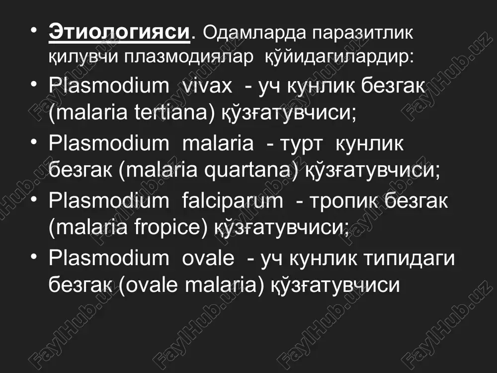 lan yuqqan bezgak, shizontli bezgak deb ataladi. bunday yuqish ko'proq to'rt kunlik bezgakga xos. patogenezi va patologik anatomiyasi. hozirgi umumiy adaptatsion sindrom tushunchasiga ko'ra, bezgak huruji, pirogen faktorlar majmuining (merozoitlarni va xususiy oqsilni parchalanishidan hosil bo'lgan begona oqsil, bezgak pigmenti, bezgak toksini, eritrotsit bo'laklari, bezgak pigmenti - gemomelanin) patogen ta'siriga bo'lgan, makroorganizmning nospetsifik javob reaktsiyasidir. ma'lumki, bezgak plazmodiyalarini odam organizmiga tushgandan keyingi boshlang'ich rivoji va ko'payishi jigarning parenximatoz hujayralarida kechadi. bunday qo'payish – preeritrotsitar (ekzoeritrotsitar) yoki to'qima shizogoniyasi deb yuritiladi. bezgak huruji – ichida parazit ko'paygan eritrotsitlarni yorilishi (morulyatsiya) tufayli qonga tushgan merozoitlar, bezgak pigmentlari, plazmodiyalarning metabolik hosilalari, erkin gemoglobin, eritrotsit parchalari va boshqalar ta'sirida haroratni boshqaruvchi markazni qattiq qitiqlanishi oqibatida isitma reaktsiyasining yuzaga kelishidir. shu jarayon, eritrotsitar shizogoniya qat'iy tartibda kechganligi tufayli, tropik va uch kunlik bezgaklarda har 48 soatda, to'rt kunlik bezgakda esa har 72 soatda taqrorlanadi. biroq bezgak yuqqanida odam organizmiga parazitning geterogen (turli xil) populyatsiyasi tushganligi …