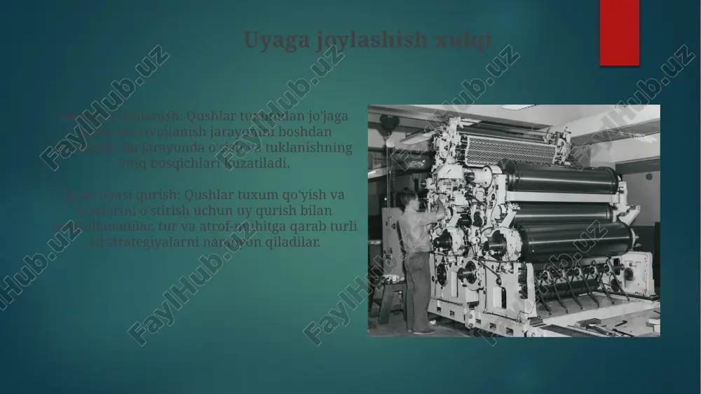 ijtimoiy aloqalar kabi omillarga bog'liq holda sezilarli darajada farq qiladi. qushlar turli hayot davri strategiyalariga ega, ba'zi turlar erta hayotda ko'payishga ko'proq mablag' sarflaydi, boshqalari esa uzoq umr ko'rishga ustuvorlik beradi. e'tiboringiz uchun rahmat @taqdimot_robot image6.jpg image7.jpg image8.jpg image9.jpg image10.jpg image11.jpg image12.jpg image13.jpg image14.jpg image15.jpg image16.jpg image17.jpg image18.jpg image19.jpg image20.jpg image21.jpg image22.jpg image2.png image3.png image4.png image5.png
