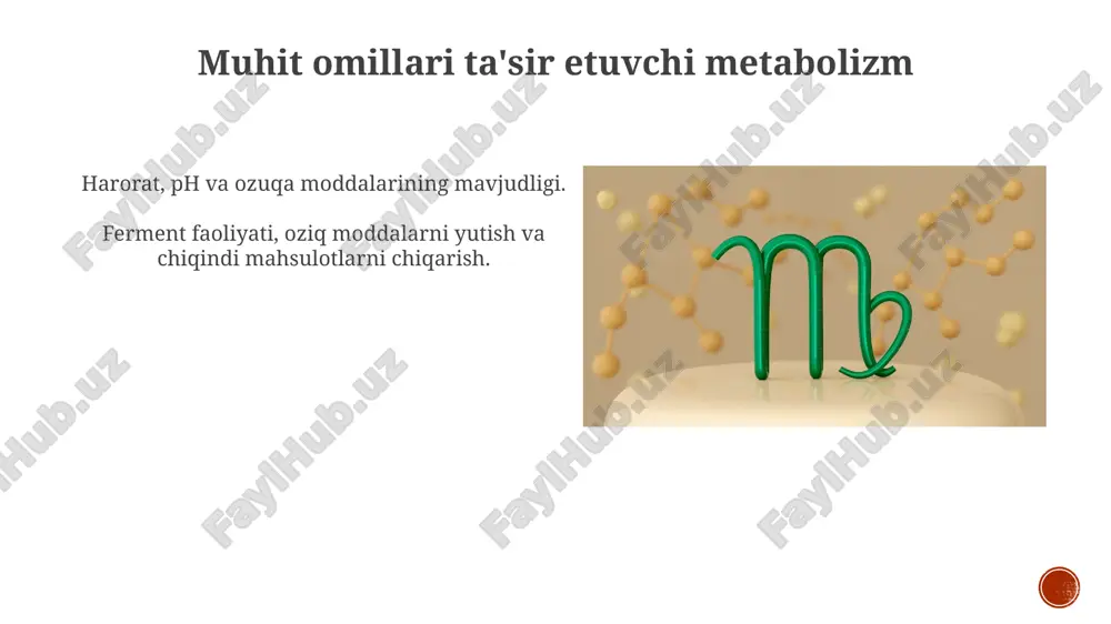 mikroorganizmlarda moddalar almashinuvi - Page 3