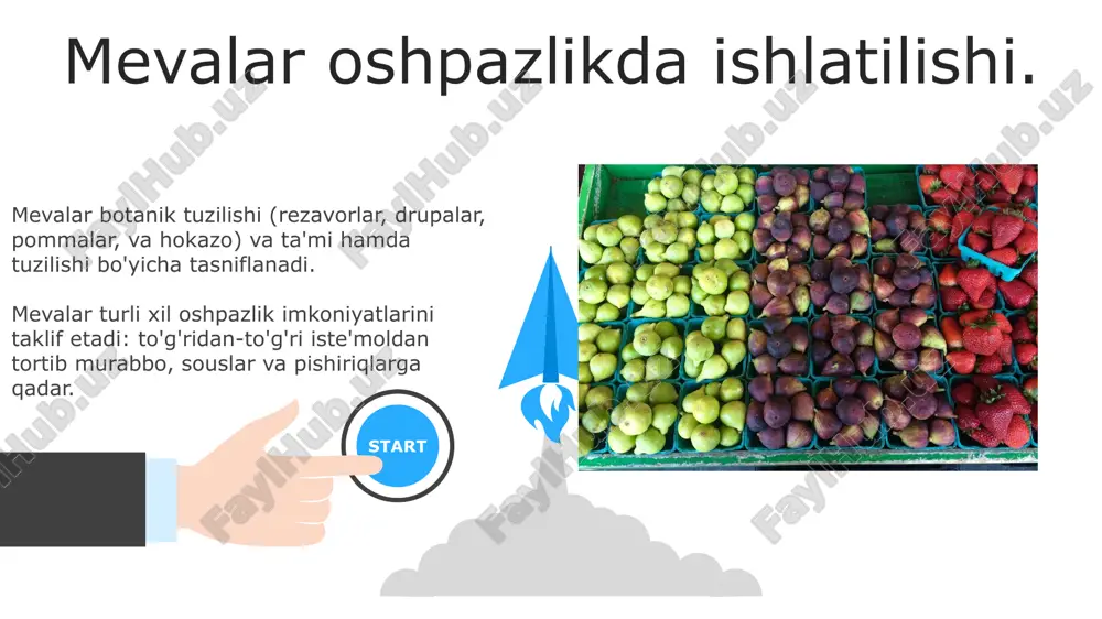 meva va uning tiplari - Page 3