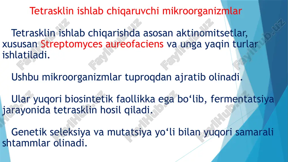 kiblar bo‘ladi: mikroorganizmlar hujayralari (biomassa) tetrasklin antibiotigi (suyuqlikka ajralgan holda) oqsillar va boshqa organik moddalar ozuqa qoldiqlari shuning uchun keyingi texnologik bosqich — madaniyat suyuqligidan hujayralar va oqsillarni ajratib, toza tetrasklin eritmasini tayyorlash hisoblanadi. 2. ajratishning maqsadi suyuqlikni hujayra massasidan tozalash; antibiotik eritmasini keyingi tozalash bosqichiga tayyorlash; yakuniy preparat sifatini oshirish. 3. ajratish jarayonining asosiy bosqichlari a) hujayralarni ajratish madaniyat suyuqligi dastlab hujayralardan tozalanadi, buning uchun sanoatda: filtrlash (nozik teshikli filtrlar yordamida) markazdan qochirma (sentrafugirlash) usullari qo‘llaniladi. 👉 natijada hujayralar cho‘kma sifatida ajraladi, yuqorida esa antibiotikni o‘z ichiga olgan tiniq suyuqlik qoladi. b) oqsillarni ajratish hujayralar ajratilgandan keyin ham suyuqlikda oqsillar, ferment-lar va boshqa erigan moddalarning qoldiqlari bo‘ladi. ularni ajratish uchun maxsus fizik-kimyoviy usullar (masalan, cho‘ktirish, ph o‘zgartirish, erituvchilar yordamida) qo‘llaniladi. 👉 bu jarayon antibiotik eritmasini keyingi bosqich — tozalash va kristallashtirish uchun tayyorlab beradi. 👉 natijada hujayralar cho‘kma sifatida ajraladi, yuqorida esa antibiotikni o‘z ichiga olgan tiniq suyuqlik qoladi. …