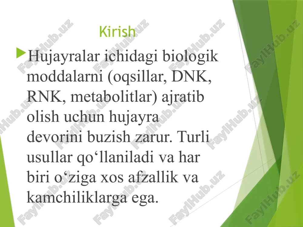 i kimyoviy moddalar ta’sirida buziladi. asosan oqsil, lipid yoki polisaxarid tarkibli devor qismlari parchalanadi. 1. detergentlar yordamida detergentlar — bu sirt faol moddalardir (masalan: sds, triton x-100). ular membrana lipidlarini eritadi, oqsillarni denaturatsiya qiladi. natijada hujayra devori yemiriladi va hujayra ichi moddalari tashqariga chiqadi. 🧴 misol: sds (sodium dodesil sulfat) bakteriya devorini buzishda ishlatiladi. 2. enzimatik (fermentativ) usul bu usulda fermentlar yordamida hujayra devori parchalanadi. har bir ferment ma’lum moddani nishonga oladi: lizozim – bakteriyalarning peptidoglikanini parchalab devorni buzadi. sellulaza – o‘simlik hujayrasining sellüloza devorini buzadi. pektinaza – pektin moddalarini eritadi. 🧫 afzallik: modda yumshoq chiqadi, fermentlar biologik usul bo‘lgani uchun oqsillarni shikastlamaydi. 3. o’rganik erituvchilar yordamida masalan: etanol, aseton, xloroform va boshqalar. ular lipid va oqsillarni eritadi, shu orqali hujayra devori strukturasi buziladi. hujayra membranasining o‘tkazuvchanligi ortadi. 💧 natija: hujayra ichidagi moddalar tashqariga chiqadi 4. lipidlar ta’sirida erituvchilar ba’zi erituvchilar hujayra membranasidagi lipid qatlamini eritadi yoki yemiradi. shu sababli …