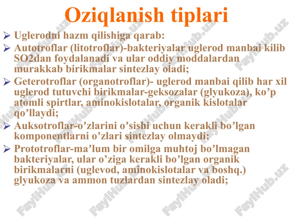 -sulfatli agar va boshqalar lp va ln shtammlar endo muhitidagi ichak tayoqchasi koloniyalari (lp, ln – shtammlar 47) endo muhitidagi ichak tayoqchasi koloniyalari mikroorganizmlarning oʼsishi oʼsish – bu mikrob xujayrasining kattalashishi va yetilishidir 4 ta oʼsish davrlari tafovut qilinadi: 1) latent davri - adaptatsiya; 2) logarifmik davr - mikroorganizmlar tez oʼsib kattalashib, boʼlinadi; 3) statsionar davr - paydo boʼlayotgan bakteriyalar soni oʼlgan bakteriyalar soniga teng boʼladi ; 4) oʼlish davri - hujayralar soni oʼlishi tufayli kamayib boradi, oxirida oʼlganlar soni tirigidan oshib ketadi oʼsish faktorlari mikroorganizmlar oʼzining oʼsishi va koʼpayishi uchun maʼlum bir moddalarni sintez qilmasdan tayyo’r qabul qiladi oʼsish faktorlariga quyidagilar kiradi: aminokislotalar purin va pirimidin asoslari lipidlar vitaminlar va boshqalar mikroorganizmlarning koʼpayishi koʼpayishi – bu mikroorganizmlar sonining ortib borishidir bakteriyalar bir necha yoʼl bilan koʼpayadi: -koʼndalang boʼlinish yoʼli -spora hosil qilish yoʼli (zamburugʼlar, aktinomitsetlar) -maydalanish yoʼli (rikketsiyalar) -kurtak chiqarish yoʼli (zamburugʼlar) -ipchalar hosil qilish yoʼllari bilan koʼpayadi (xlamidiyalar). …