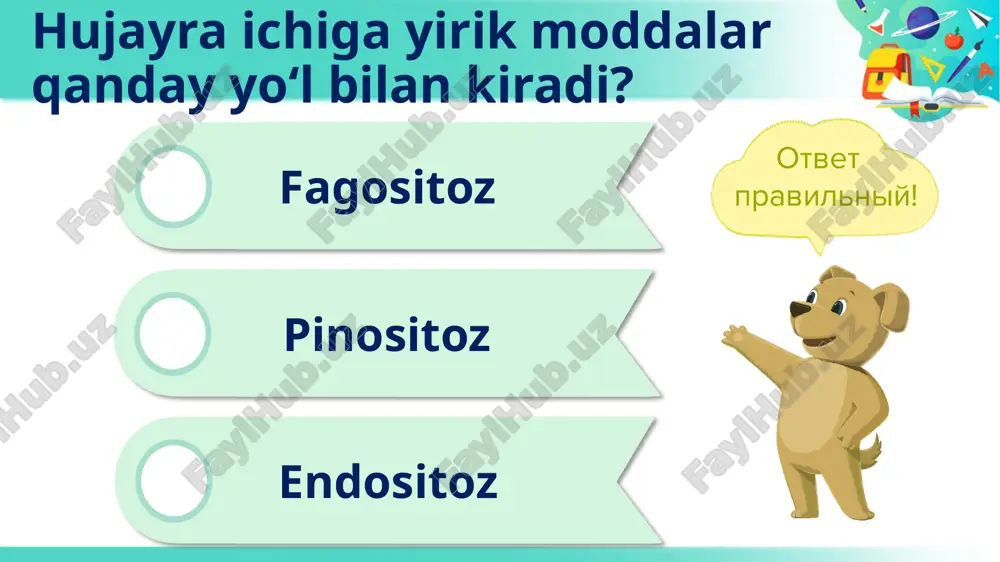 i amalga oshiruvchi organoid nima? uyga vazifa aziz o‘quvchilar uyga vazifa o‘tilgan yangi mavzuni o‘qib mavzu oxiridagi savollarga javob yozing. daftaringizga hujayra organoidlarining rasmini chizing. image2.jpg image4.png audio1.wav image3.png image5.png audio2.wav image6.png image7.jpg image8.png image9.png image10.jpeg image11.png image12.png image13.jpg /docprops/thumbnail.jpeg