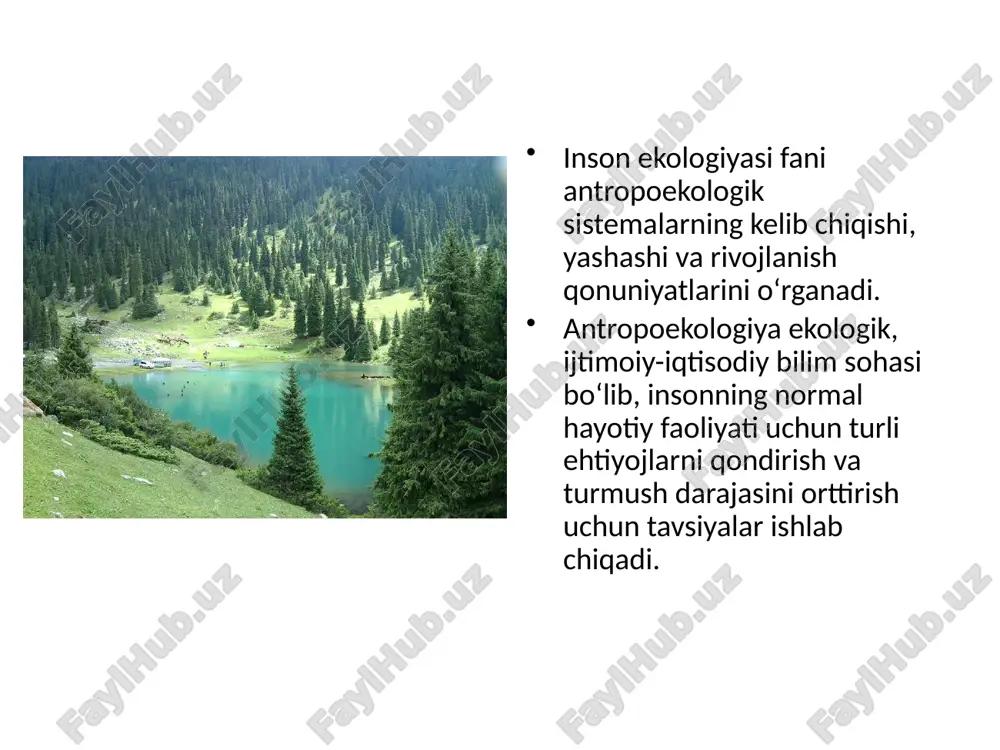 ishi yuqori, ter bezlari yaxshi rivojlangan, suvni ko‘p iste’mol qiladi. antropogen ekosistemalar, ularning inson salomatligiga ta’siri. eng muhim hozirgi zamon antropogen ekosistemalariga shaharlar, qishloqlar, transport kommunikatsiyalari kiradi. insonning hayot muhiti, ya’ni inson yashayotgan sharoit boshqa tirik organizmlar muhitiga qaraganda ancha kengroqdir. kishilar tomonidan yaratilgan moddiy muhitga quyidagilar kiradi: kishilar tomonidan o‘zgartirilgan tabiat: cho‘llarni o‘zlashtirish, o‘rmonlar tashkil qilish, daryolar yordamida suv omborlari qurish va boshqalar. sun’iy elementlar: binolar, inshootlar qurish, shovqinlar, elektromagnit maydonlari, radioaktiv nurlar, zaharli moddalar ishlab chiqarishda ishlatiladigan har xil materiallar, mahsulotlar. kishilar tomonidan yaratilgan moddiy muhitga quyidagilar kiradi: kishilar tomonidan o‘zgartirilgan tabiat: cho‘llarni o‘zlashtirish, o‘rmonlar tashkil qilish, daryolar yordamida suv omborlari qurish va boshqalar. sun’iy elementlar: binolar, inshootlar qurish, shovqinlar, elektromagnit maydonlari, radioaktiv nurlar, zaharli moddalar ishlab chiqarishda ishlatiladigan har xil materiallar, mahsulotlar. shahar aholisining zichligi yuqumli kasalliklarning keng tarqalishi uchun sharoit yaratadi. havoning ifloslanganligi natijasida yer yuzasiga ultrabinafsha nurlar- ning ancha miqdori yetib kelmaydi. yorug‘likning yetarli bo‘lmasligi …