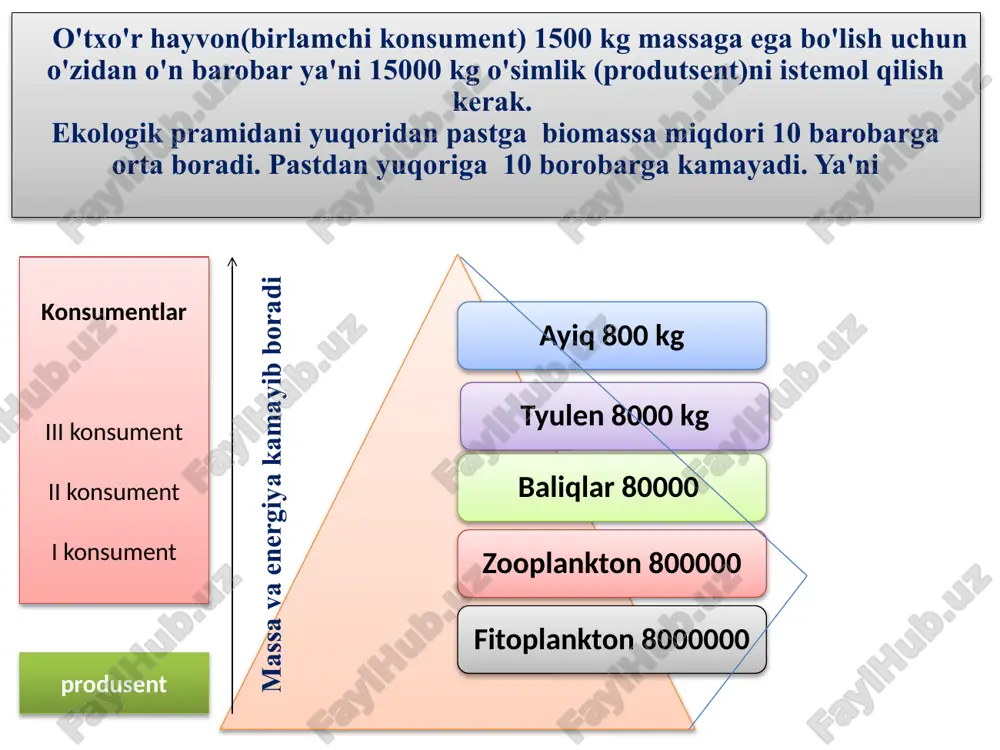 assasidan 720 kg ga kam. x ni aniqlang. a) 80000 b) 8000 c) 800 d) 1000 ii usul: oʻsimlik - quyon - lochin x - 0,1x - 0,01x 0,1x - 0,01x = 720 0,09x = 720 x=8000 i usul: lochin massasi m = 720 : 9 = 80 kg lochinlar – 80 kg quyonlar – 800 kg o`simlik – 8000 kg. suv havzalaridagi oziq zanjirni tipik misolida ekologik piramidagi umumiy biomassani 40 % dagi ogʼirligi 111,1 tonnani tashkil qilsa u holda yirik baliqni 70 % ogʼirligini aniqlang. a) 150 kg b) 194 kg c) 175 kg d) 180 kg fitoplankton -- 1000x ↓↓ zooplankton -- 100x ↓↓ mayda baliq -- 10x ↓↓ yirik baliq ---- x 1) umumiy massani topamiz 40% __________111,1 100% __________ x = 277,75 tonna 2) x+10x+100x+1000x=277,75 1111x=277,75 x = 0,25 tonna 3) yirik baliqni massasi 250 kg 4) 250 • 0,7 = 175 kg. qaldirg'ochning urg'ochisi …