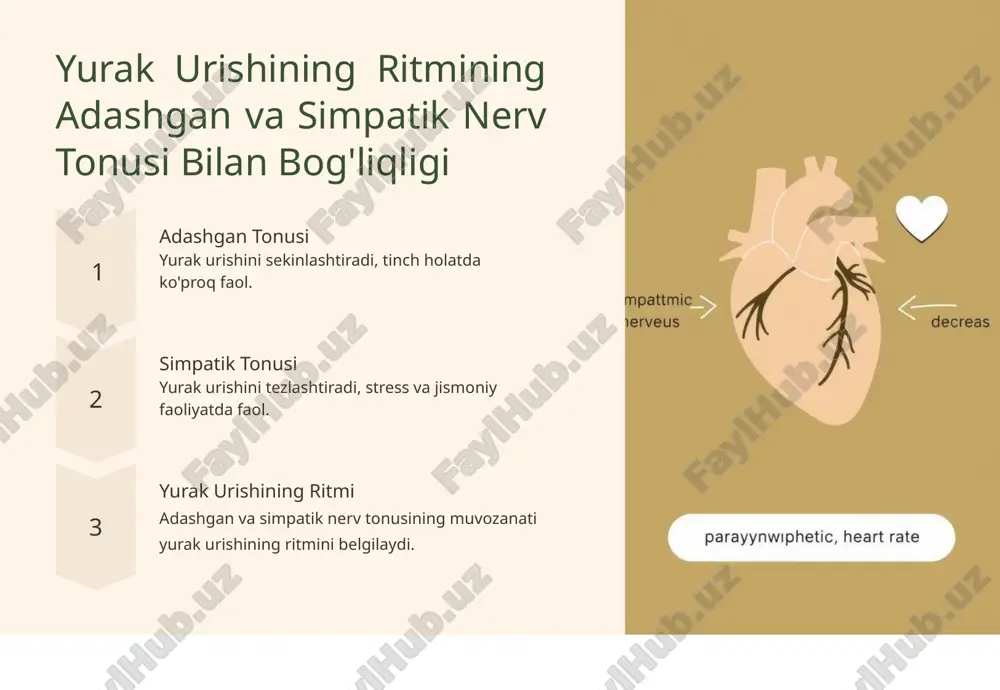 yurak va qon-tomir tizimining muhimligi - Page 3