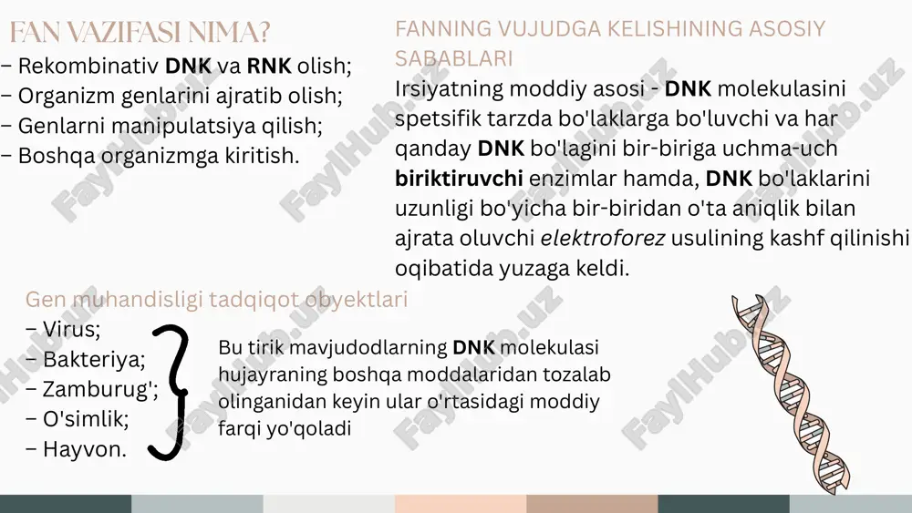 achalar mavjud, ularni biz plazmidlar deb ataymiz. ko'chib yuruvchi genetik elementlar. plazmidlar hujayraning genetik elementlari plazmidlar – hujayraning asosiy xromosomasidan bir necha yuz barobar kichik dnk qosh zanjiri holqasidir. tarkibi odatda 2–10 dona gendan iborat. transmissibil – dnk izchilligini kesib rekombinatsiya bola oladi, mustaqil o‘zini replikatsiya qila olmaydi. avtonom – xromosomaga birika olmaydi; o‘zini mustaqil replikatsiya qila oladi. transpozonlar – ko‘chib yuruvchi genetik element (1). birinchi bo‘lib o‘tgan asrni 40- yillarida b. mcclintock aniqlagan. transpozon ikki chetida nukleotidlar izchilligi o‘rtasida kesuvchi transpozaza fermenti bo‘ladi. retrotranspozonlar – ko‘chib yuruvchi genetik element (2). dnkning bir bo‘lagi, rnk- turuvchi viruslarni eslatadi. teskari transkriptaza yordamida nusxasini sintezlab boshqa joyga ko‘chiradi; asli nusxa joyida qoladi. retropozonlar – ko‘chib yuruvchi genetik element (3). ko‘chirish mexanizmiga ko‘ra retrotranspozonga o‘xshaydi, lekin transkriptaza fermentiga ega emas. biotexnologiya nima? tirik mavjudodlarning hayot jarayonlarini chuqur o'rganish natijasida kashf etilgan bilmlimlardan hamda qoida-qonuniyatlardan foydalanib biologic makromopekulalar va organizmlar ishtirokida yaratilgan har qanday …