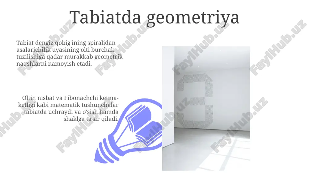 son sanoq va geometrik shakillar - Page 3
