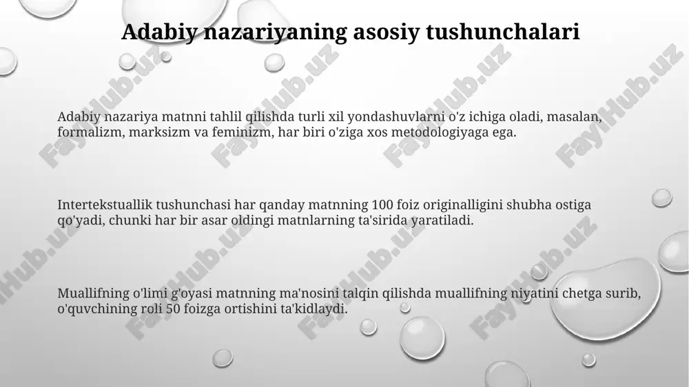 adabiyotshunoslik nazariyasi - Page 3