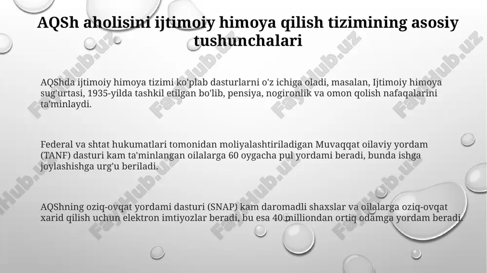aqsh aholisini ijtimoiy himoya tizimi - Page 3